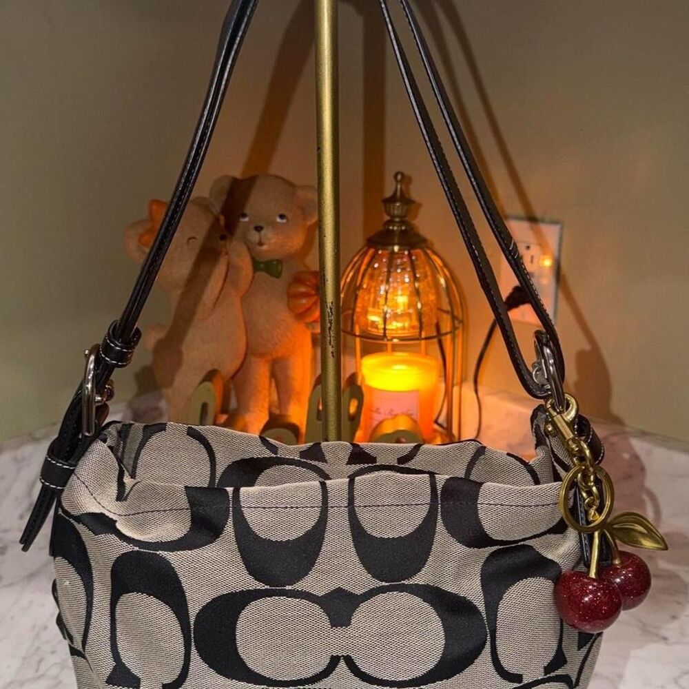 Coach Women's Bag